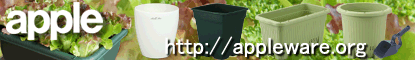 �A�b�v���E�F�A�[
