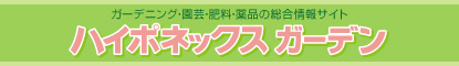 �n�C�|�l�b�N�X