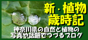 【植物歳時記】ブログ