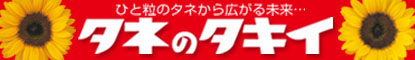 �^�L�C��c