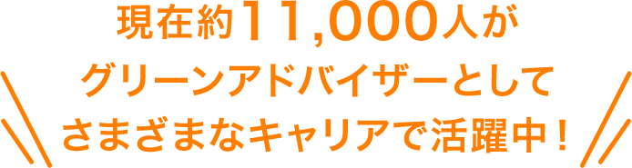 さまざまなキャリアで活躍中！