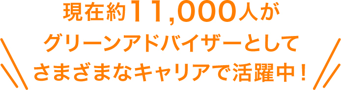 さまざまなキャリアで活躍中！