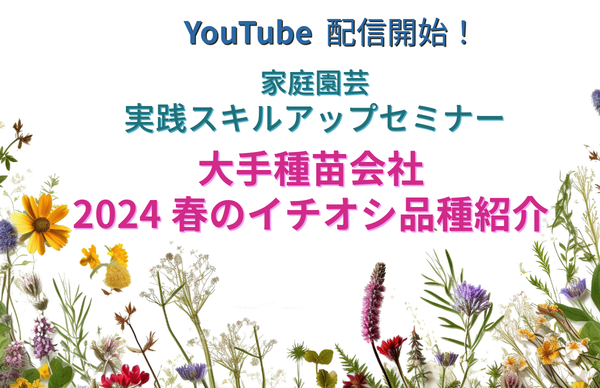 協会YouTubeチャンネル 大手種苗会社 2024年春イチオシ品種の紹介 公開