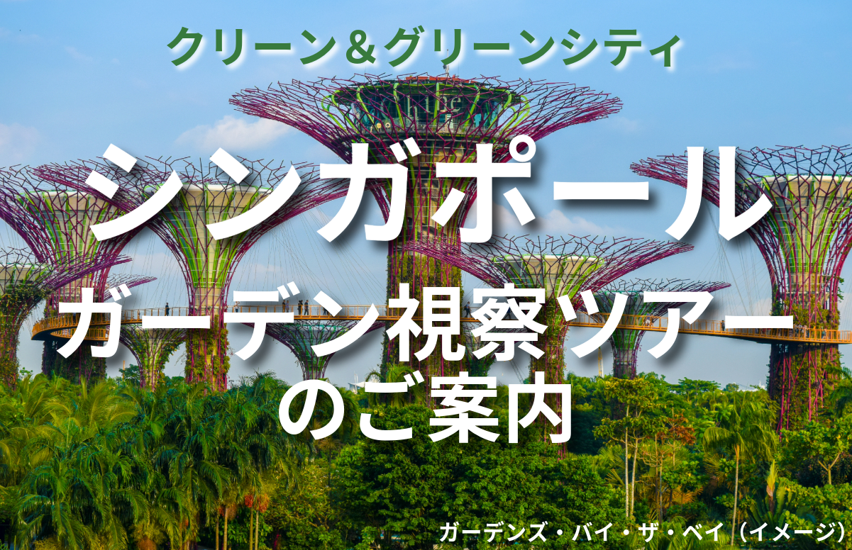 00000119_eye_catch.png?246814594