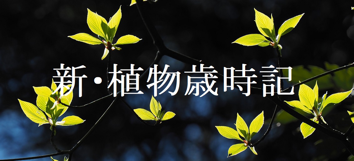 新・動植物歳時記 【公式通販】