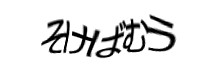 Authentication image