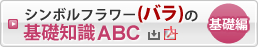 シンボルフラワーの基礎編 ダウンロード