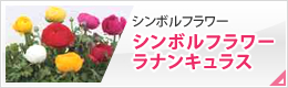 ラナンキュラスと球根の仲間たち