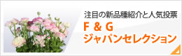 F＆Gジャパンセレクション