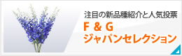 注目の新品種紹介と人気投票 F&Gジャパンセレクション