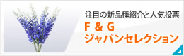 注目の新品種紹介と人気投票 F&Gジャパンセレクション